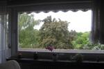 Etagenwohnung Hannover Herrenhausen-Stöcken - 3 Zimmer, 75 m&sup2;, 240.000&euro; | Angebot:26826367