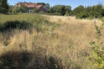 Haus zum Kaufen in Bantorf 492.190 € 144 m² 5 zimmer