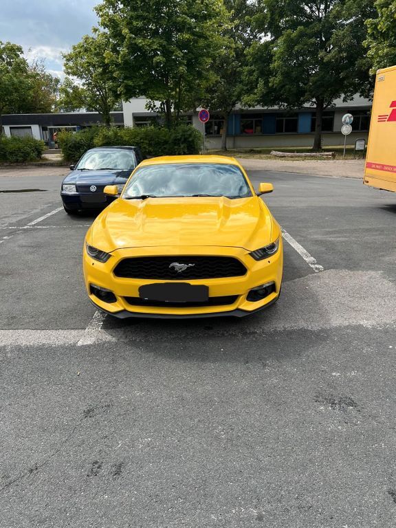 Mustang