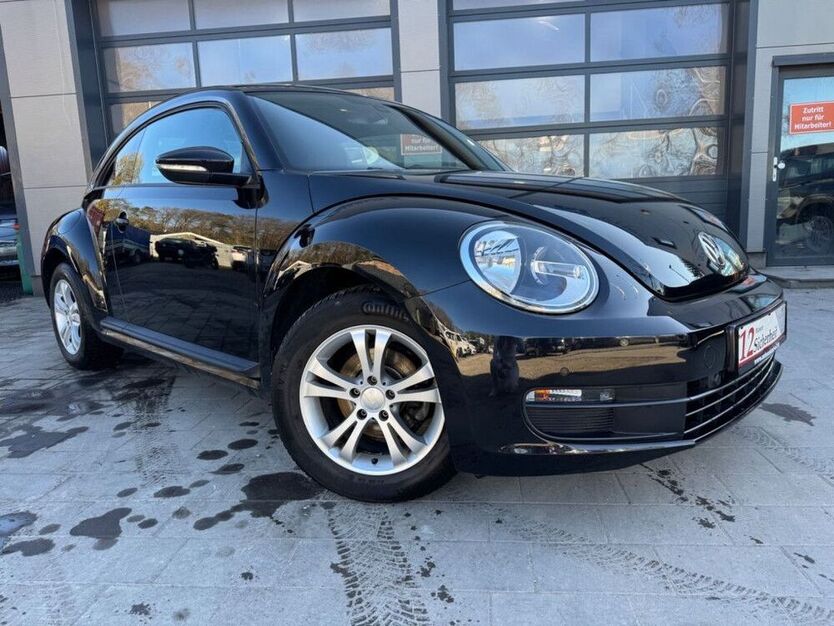 Beetle