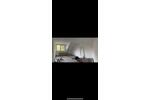 2 Zimmer Wohnung zu Vermieten