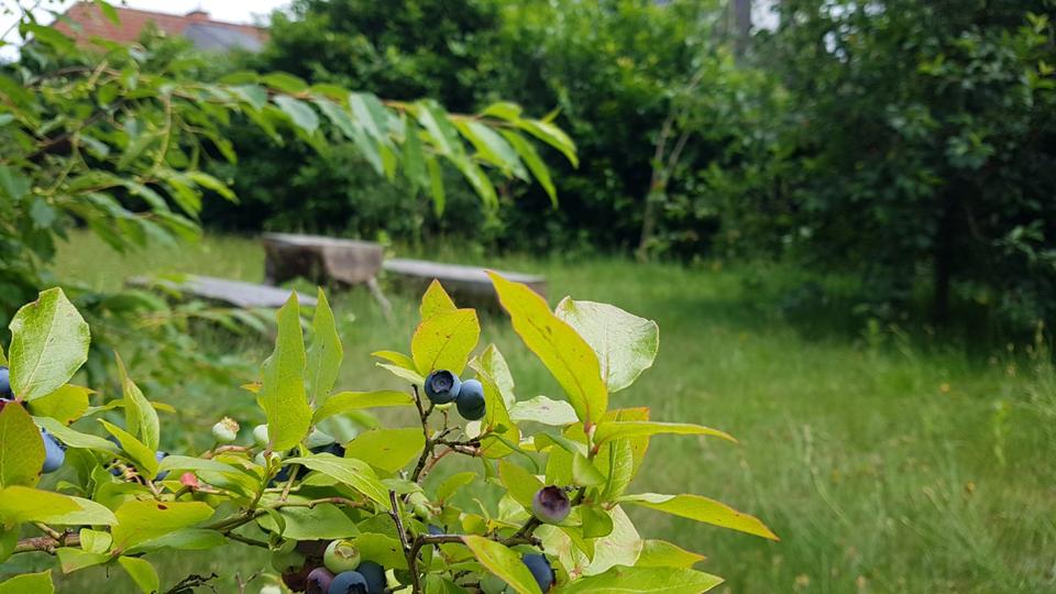 grün ruhig zentral Baugrundstück EFH Haus Hannover Bothfeld Lahe zimmer