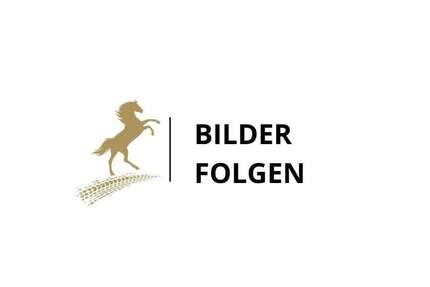 Ford Transit Custom 123.000 km 29.900 &euro; Hannover 30457