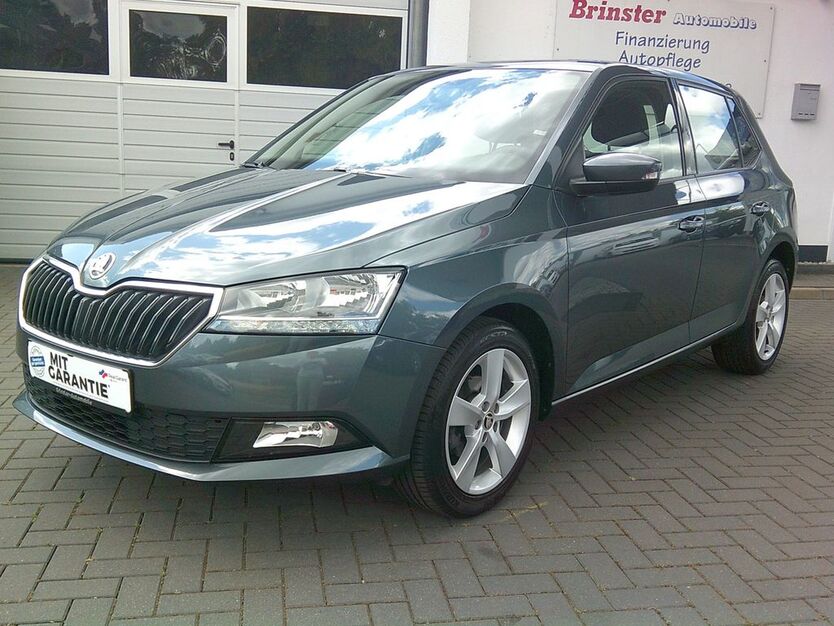 Skoda Fabia 58.000 km 12.999 € Gronau (Leine) OT Brüggen 31028