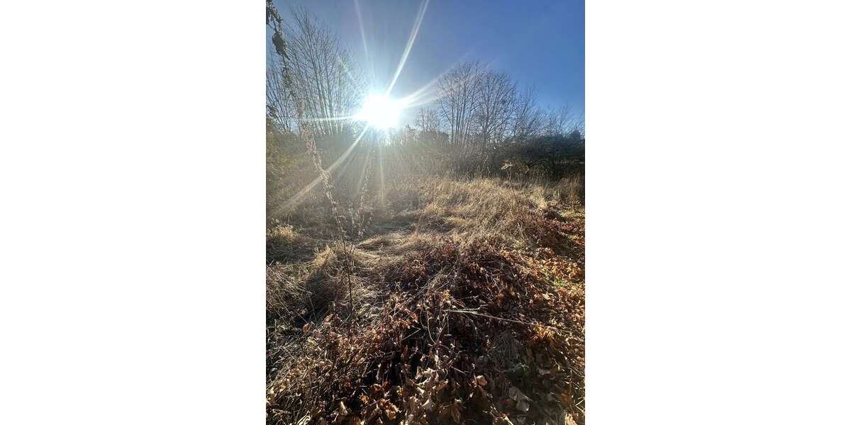 Grundstück Wennigsen - 179.000&euro; | Angebot:24418684