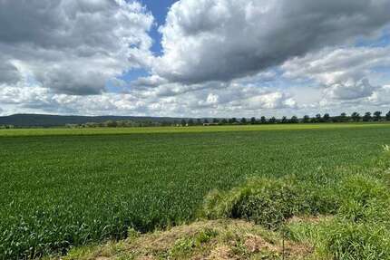 Grundstück zu verkaufen in Holtensen 180.000 € 1700 m² zimmer