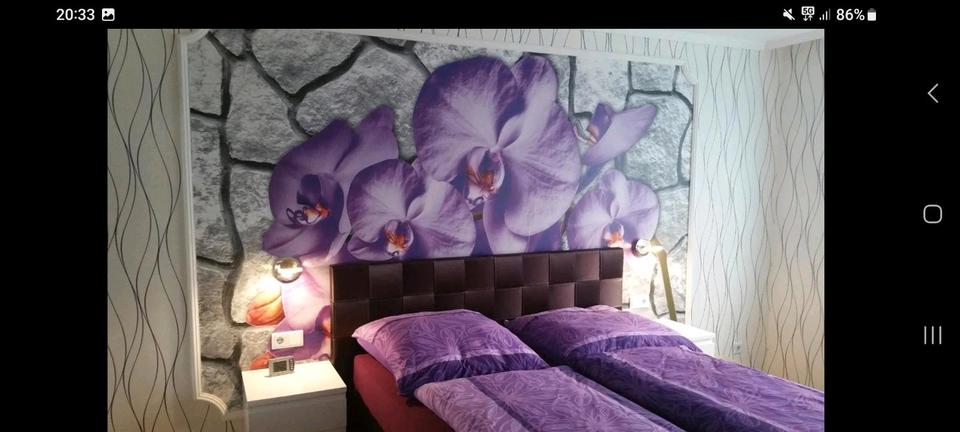 Erdgeschoßwohnung Hannover Bothfeld-Vahrenheide - 3 Zimmer, 72 m&sup2;, 235.000&euro; | Angebot:25279813