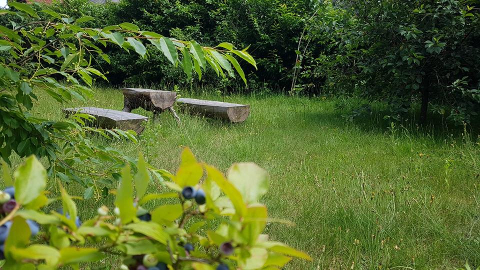 grün ruhig zentral Baugrundstück EFH Haus Hannover Bothfeld Lahe zimmer