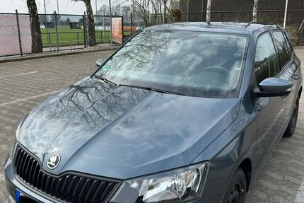 Skoda Fabia 68.500 km 8.400 &euro; Harsum 31177
