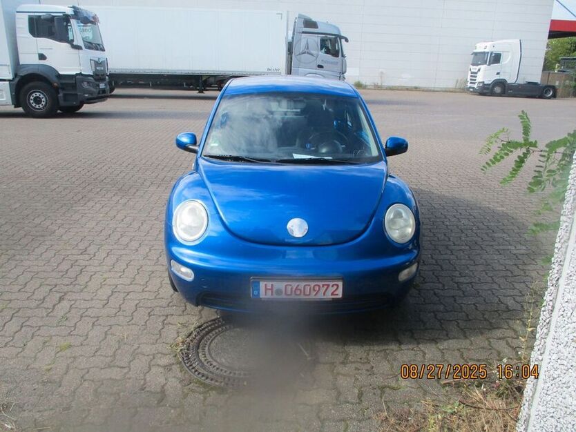 Beetle