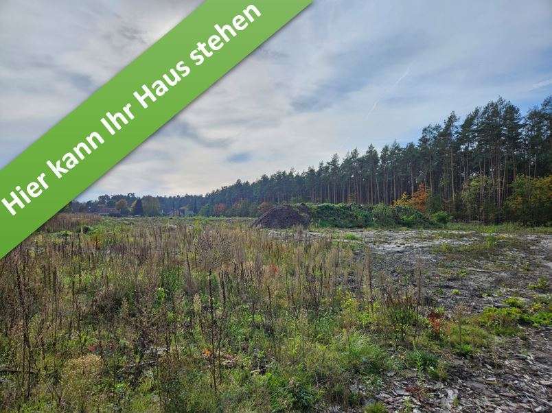 Haus zum Kaufen in Hambühren 404.750 € 142 m²