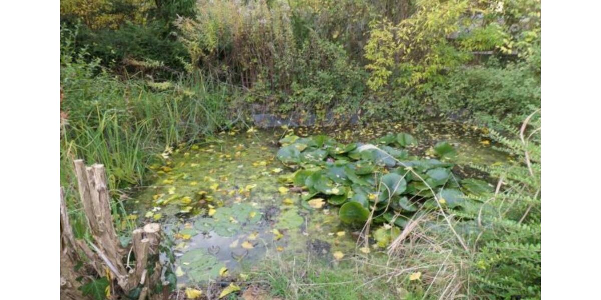 Provisionsfrei: 4-Zimmer-Fachwerkhaus und Carport in Sehnde-Ilten 4 zimmer