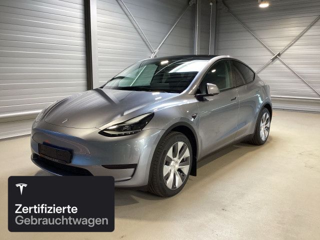 Model Y