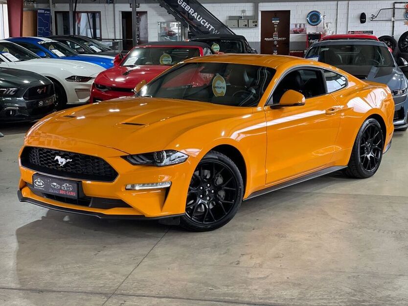 Mustang