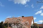 Single Dachgeschosswohnung zum Verlieben - Dachgeschoßwohnung Isernhagen Kircher Bauerschaft | Angebot:26633669