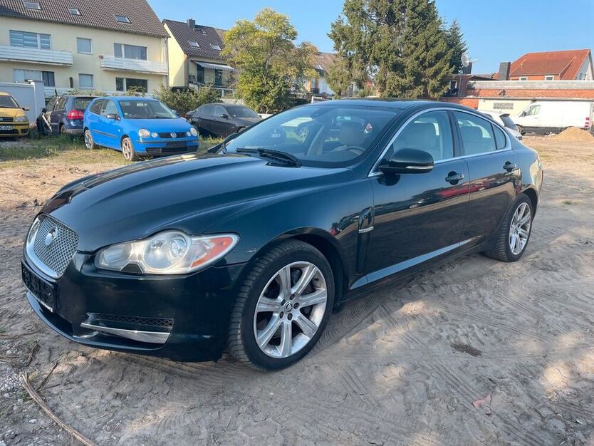 XF