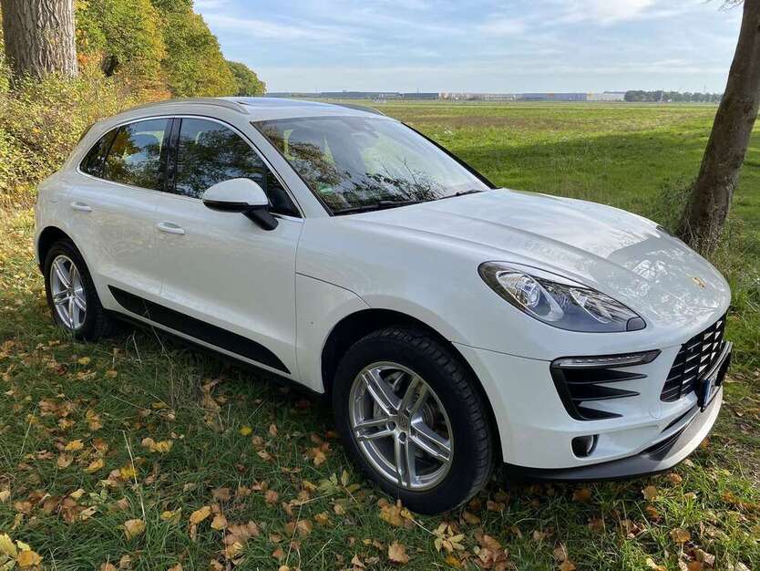 Macan
