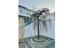 Maisonettenwohnung Isernhagen - 3 Zimmer, 87 m&sup2;, 1.100&euro; | Angebot:26212722