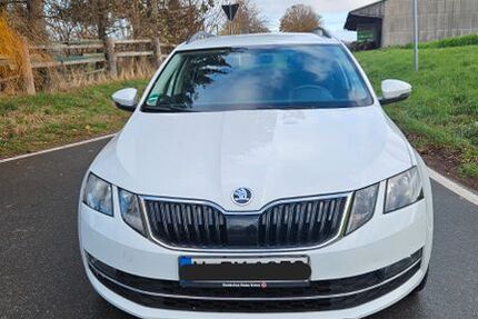 Skoda Octavia 243.000 km 7.900 &euro; Springe 31832