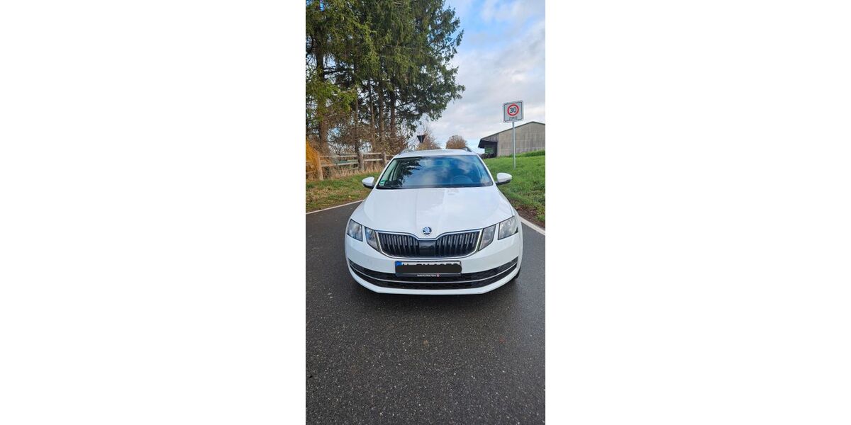 Skoda Octavia 243.000 km 7.900 &euro; Springe 31832