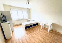 1.-Zimmerwohnung im Villenviertel