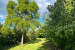 Bungalow Lehrte - 5 Zimmer, 151 m&sup2;, 570.000&euro; | Angebot:26593527