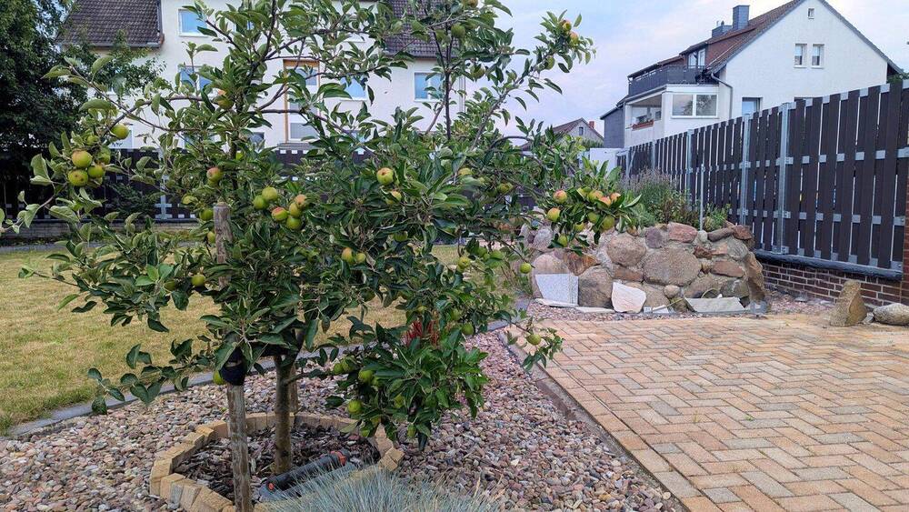 Mehrfamilienhaus, Wohnhaus Neustadt am Rübenberge Bordenau - 9 Zimmer, 259 m&sup2;, 519.000&euro; | Angebot:26196814