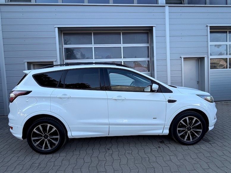 Kuga