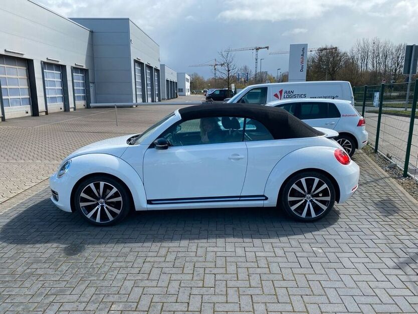 Beetle