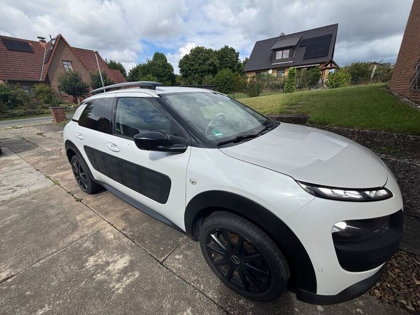 C4 Cactus