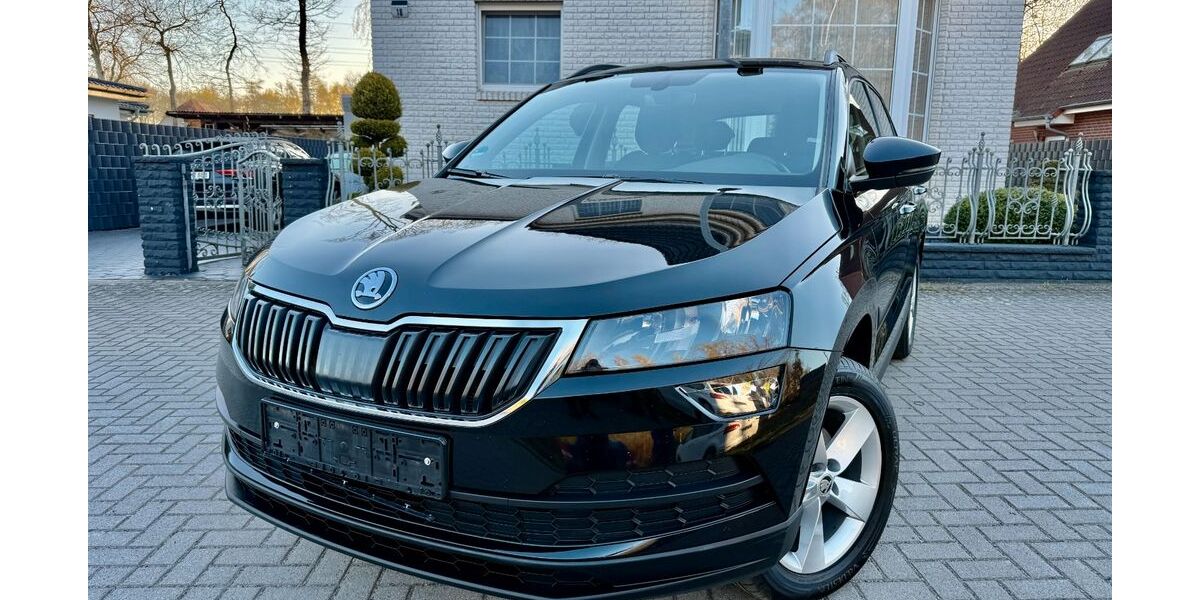 Skoda Karoq 203.495 km 11.800 &euro; hannover 30659