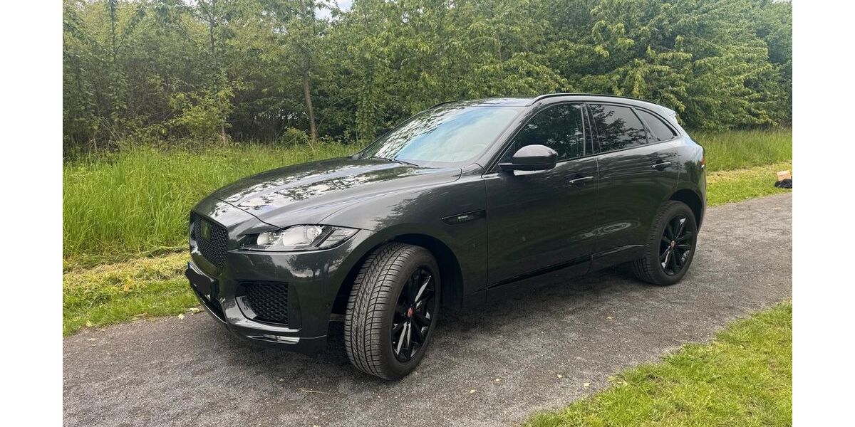 Jaguar F-Pace 55.000 km 30.999 &euro; Sarstedt 31157
