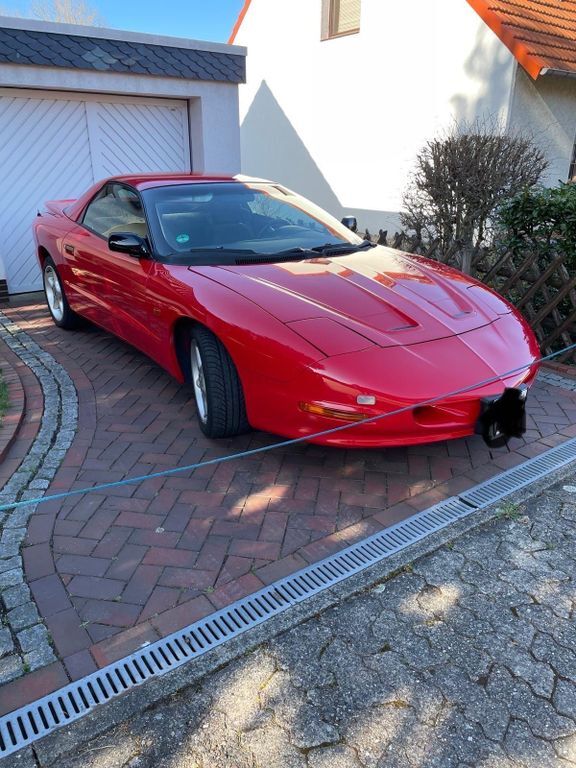 Firebird