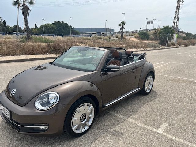 Beetle