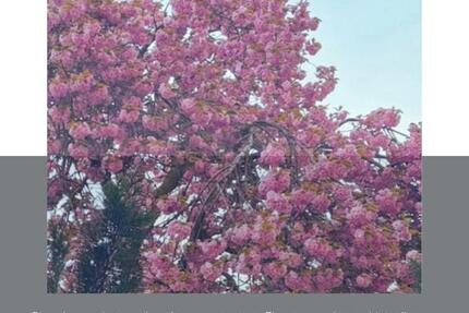 moderne 3 Zimmer Eigentumswohnung im Herzen von Altwarmbüchen 3 zimmer