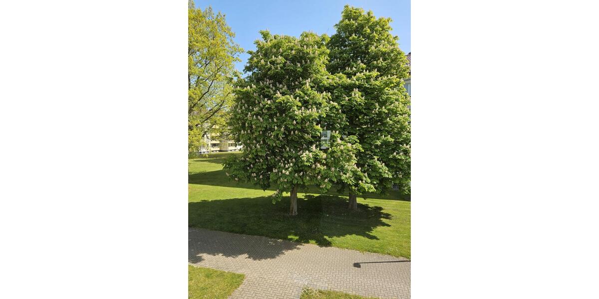 Etagenwohnung Seelze - 3 Zimmer, 75 m&sup2;, 199.000&euro; | Angebot:26497995