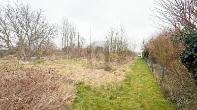 BAUEN NACH IHREN VORSTELLUNGEN - Grundstück Barsinghausen | Angebot:26308924