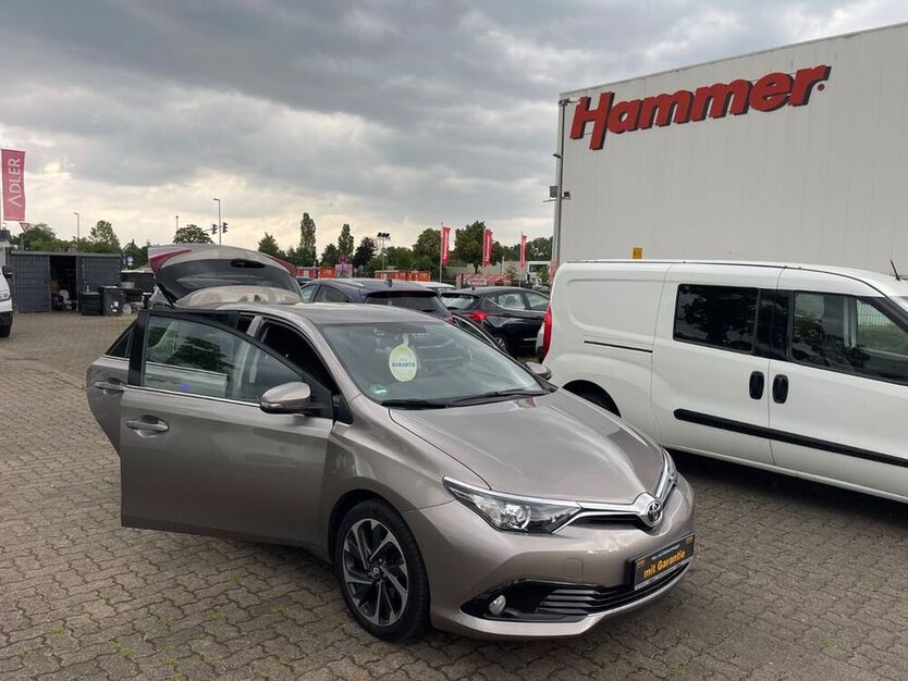 Auris