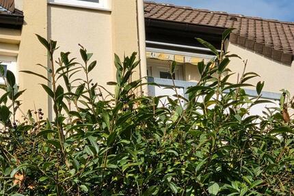 Wohnung Isernhagen - 2 Zimmer, 50 m&sup2;, 138.000&euro; | Angebot:27536748