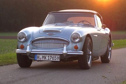 Austin Healey Andere