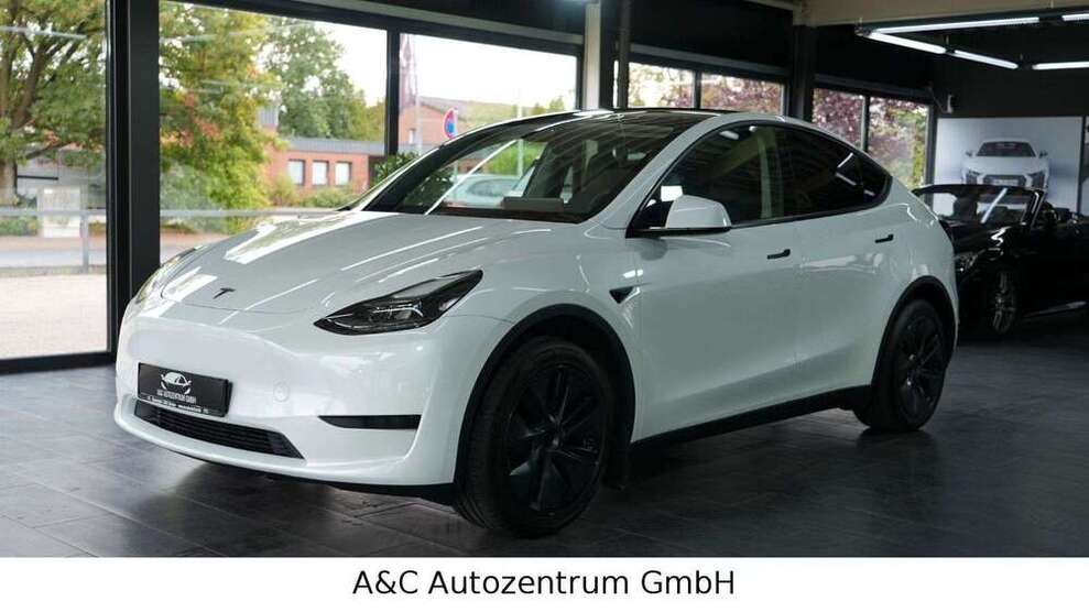 Model Y