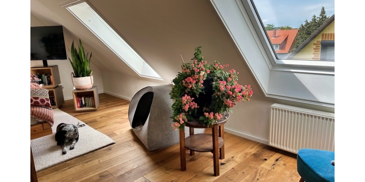 Traumhaus für 2 Personen - Einfamilienhaus Hildesheim Moritzberg | Angebot:26971061