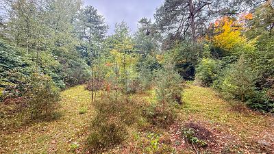 GESTALTEN SIE IHR NEUES ZUHAUSE zimmer