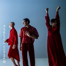 Blutbuch 20.12.2025 Ballhof