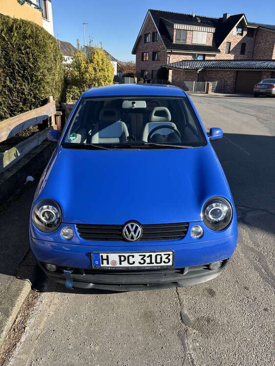 Lupo