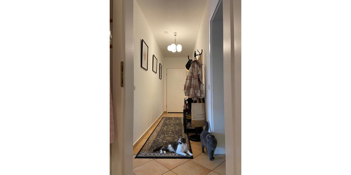 Etagenwohnung Rodenberg - 2 Zimmer, 61 m&sup2;, 510&euro; | Angebot:26675281