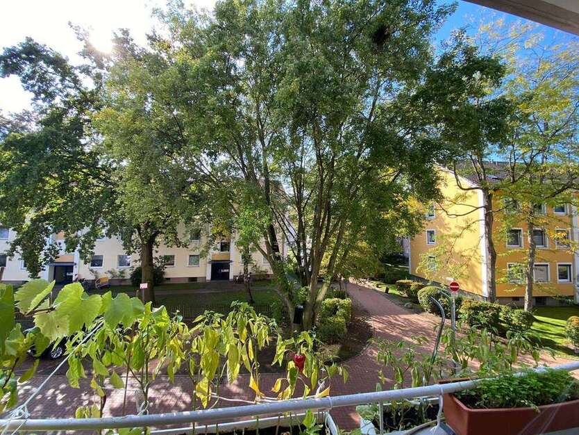 Wohnung zum Kaufen in Langenhagen 180.000 € 63 m²