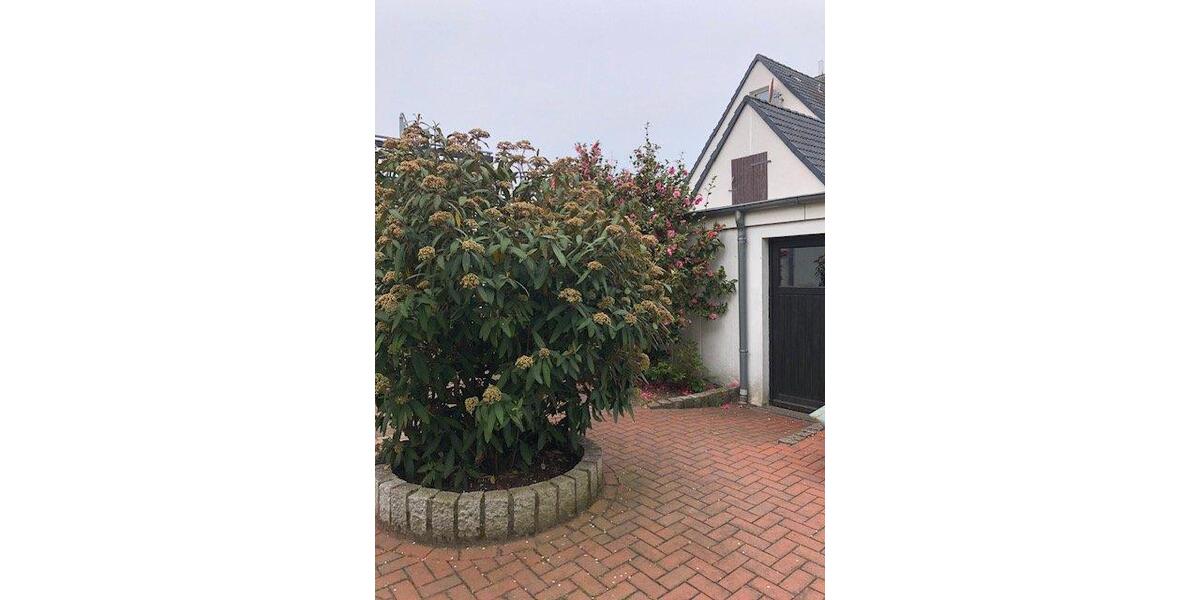 Doppelhaushälfte Hannover Misburg-Anderten - 7 Zimmer, 135 m&sup2;, 339.000&euro; | Angebot:26758255