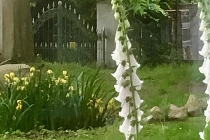 Helle 2- Zimmerwohnung & Abstellraum in Neustadt OT Hagen 2 zimmer
