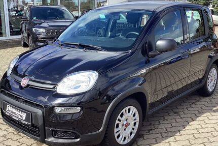 Fiat Panda 17.200 km 10.890 &euro; Harsum 31177